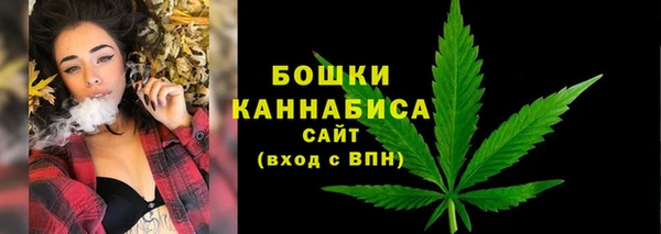 амф Зарайск