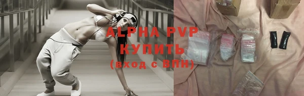 PSILOCYBIN Заполярный