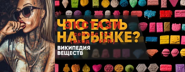 PSILOCYBIN Заполярный
