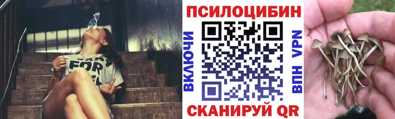 Псилоцибиновые грибы Cubensis  mega сайт  мориарти какой сайт  Зерноград 