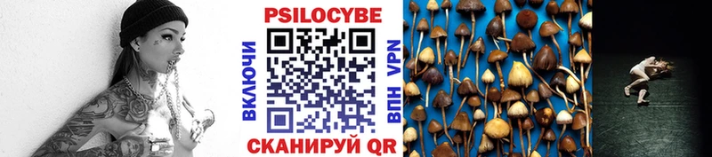 Галлюциногенные грибы ЛСД Зерноград