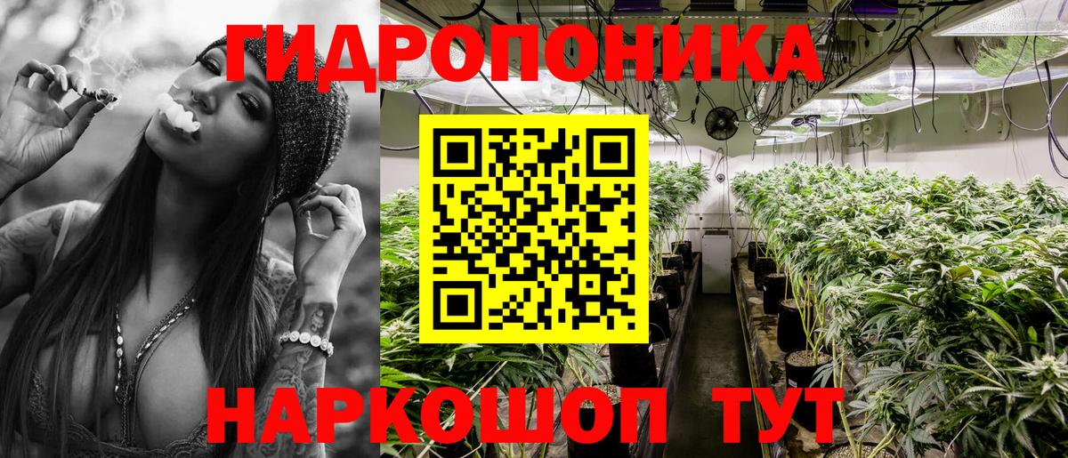 Канабис Amnesia  Канабис Bruce Banner  Бошки Шишки сатива  Вход с VPN  Зерноград  Бошки марихуана сатива 